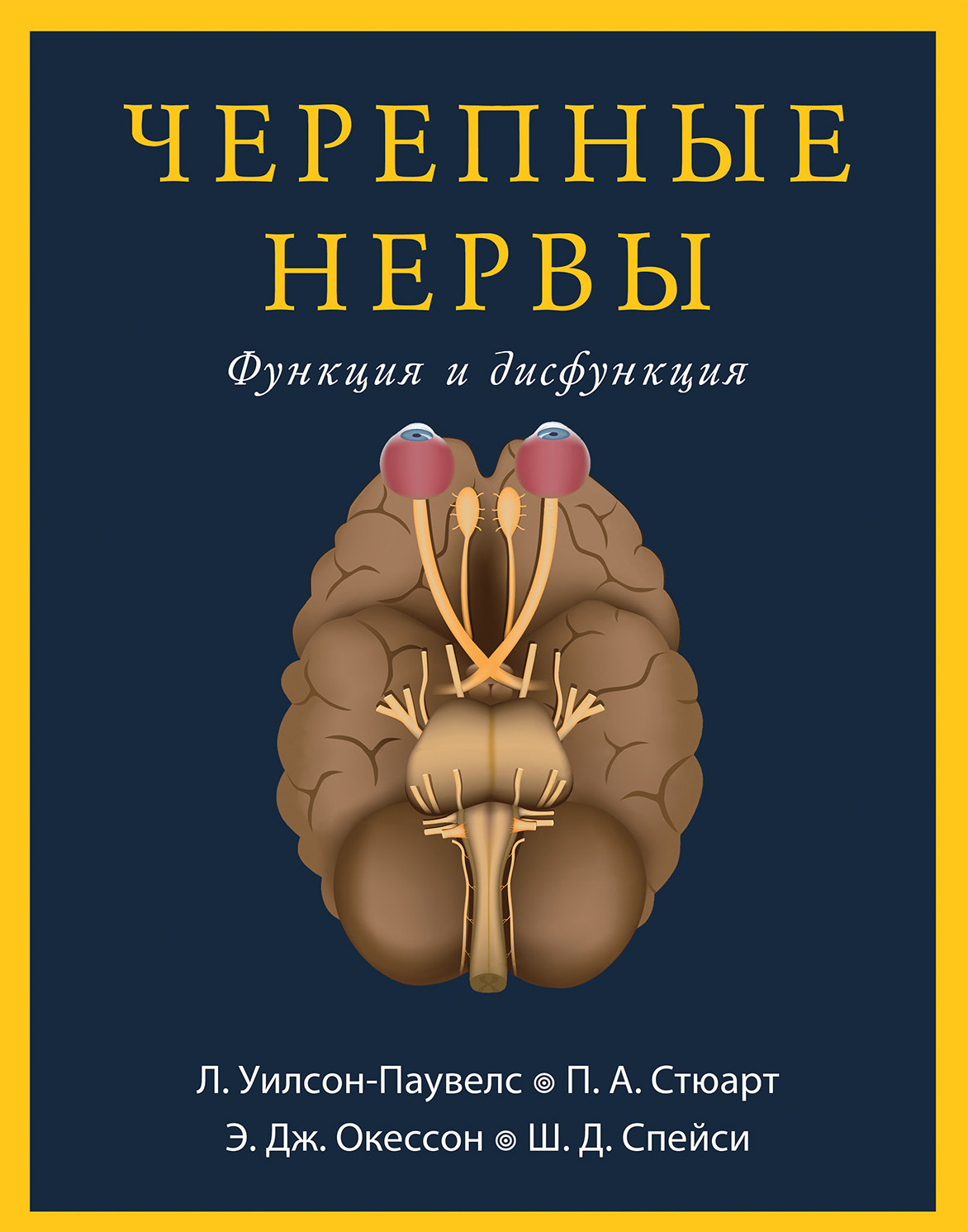 Черепные нервы. Функция и дисфункция