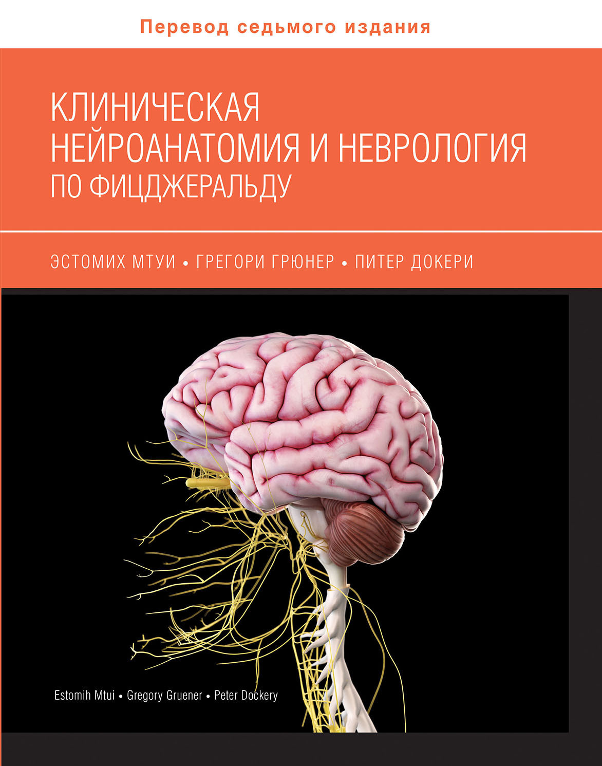 Клиническая нейроанатомия и неврология по Фицджеральду