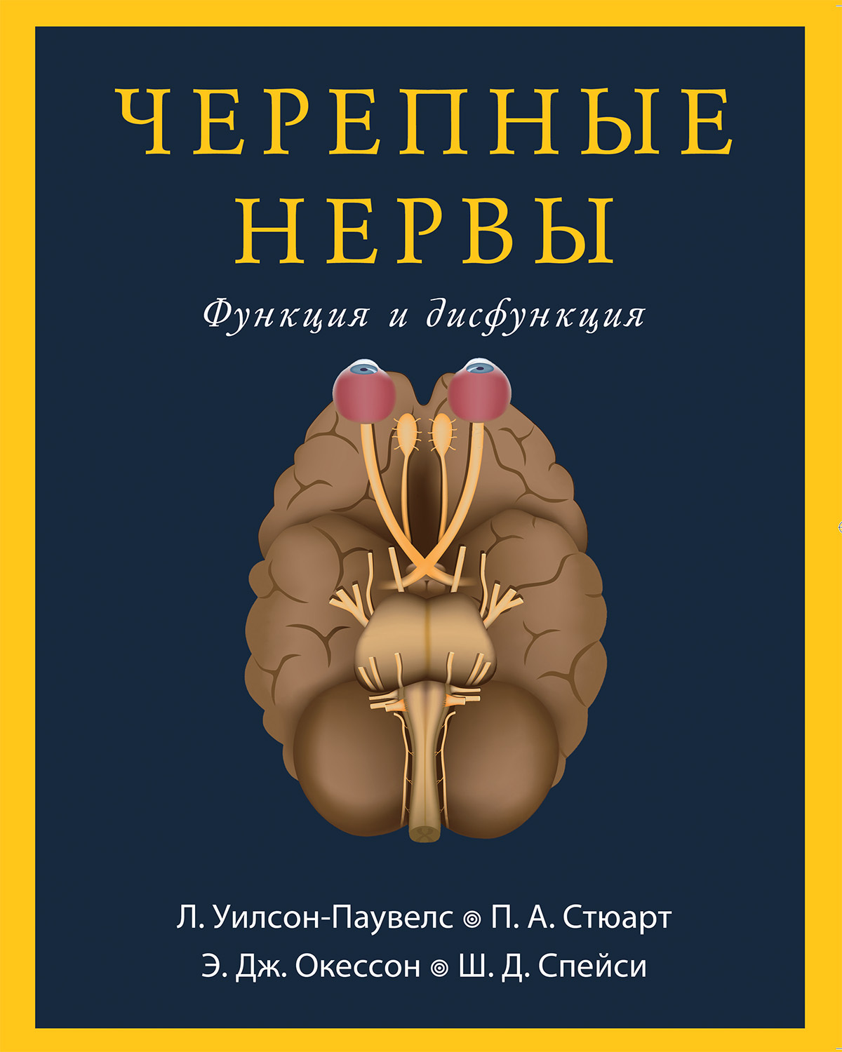 Черепные нервы. Функция и дисфункция