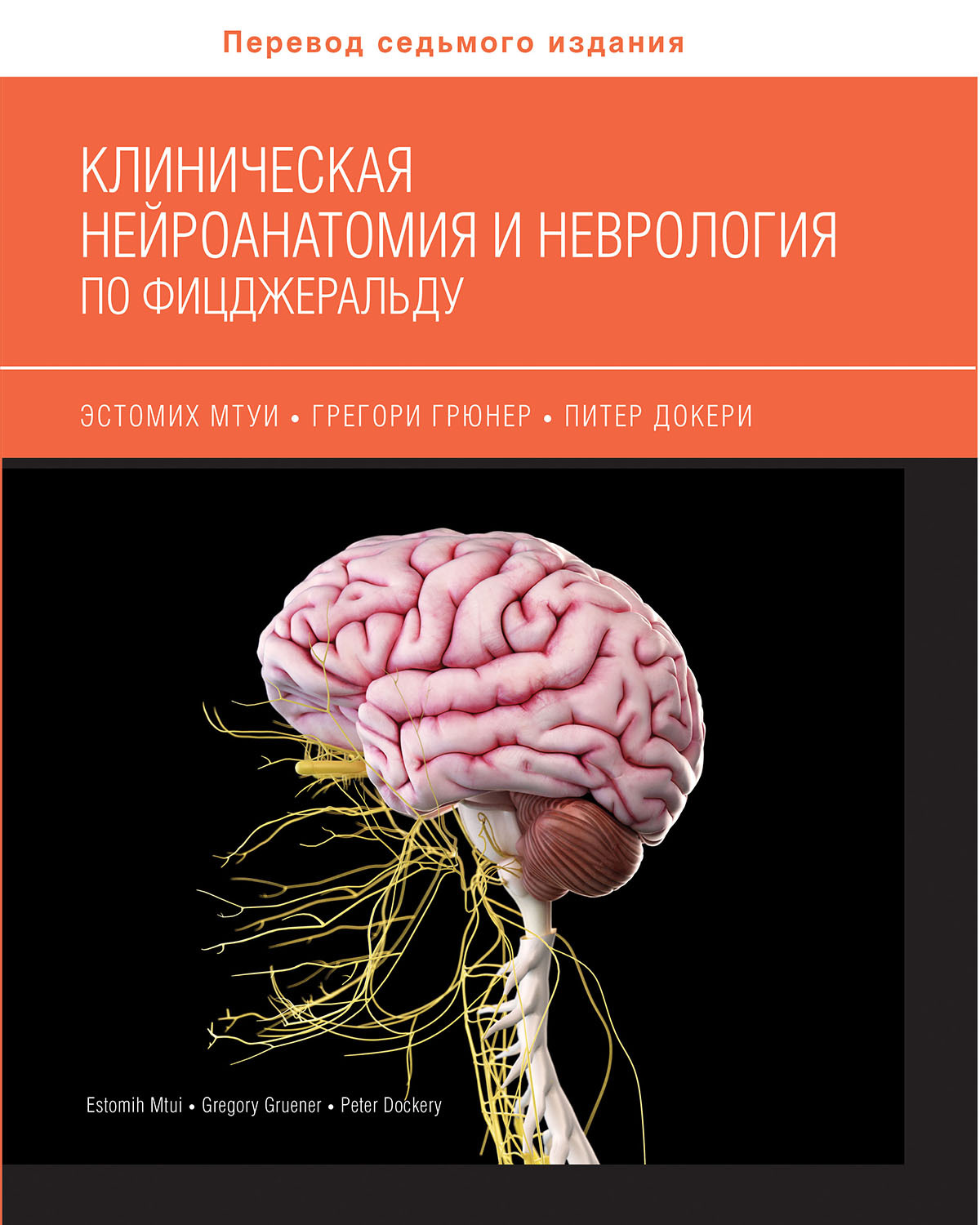 Клиническая нейроанатомия и неврология по Фицджеральду